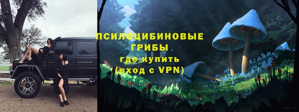 сатива Алзамай