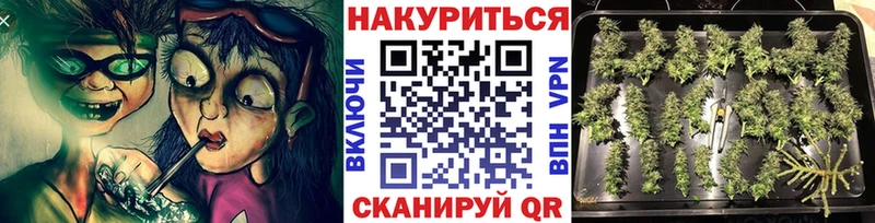 Каннабис OG Kush  Ейск 